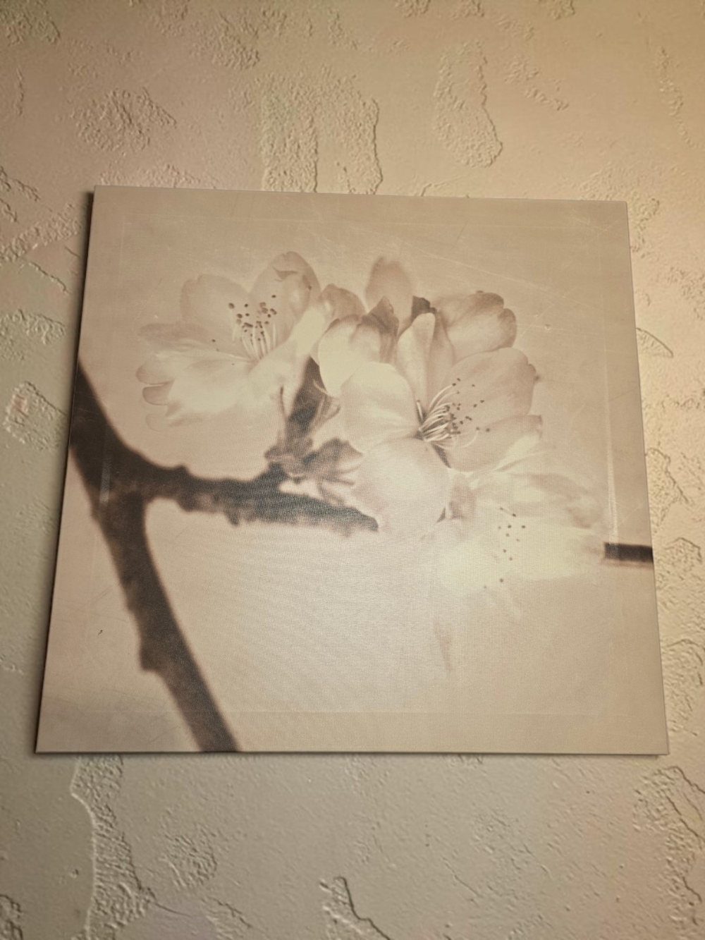 Set Of 3 Neutral Floral Canvas Wall Art - Soft Beige Cherry Blossom-NEW